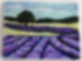 Lavendar Field_edited.jpg
