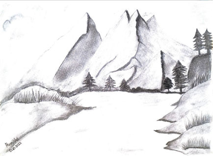 pencil illustration