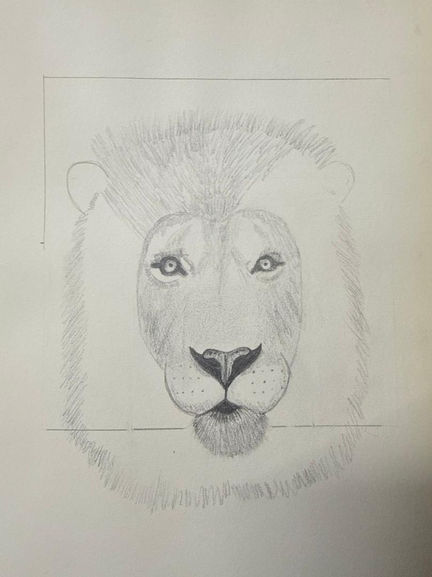 lion