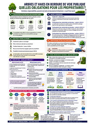 Infographie_Arbres_Haies_POS_PLU_Melissa_AYDIN_HD 2 (1)_page-0001.jpg