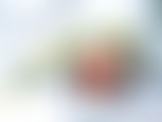 5 𝙍𝙚𝙖𝙨𝙤𝙣𝙨 𝙒𝙝𝙮 𝙄𝙩 𝙄𝙨 𝙄𝙢𝙥𝙤𝙧𝙩𝙖𝙣𝙩 𝙩𝙤 𝙃𝙖𝙫𝙚 𝙎𝙩𝙧𝙤𝙣𝙜 𝘾𝙤𝙧𝙚 𝙈𝙪𝙨𝙘𝙡