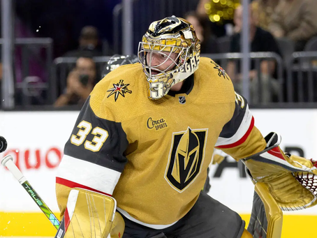 Adin Hill, un gardien inattendu