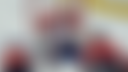 La muraille Bobrovsky dit NON!