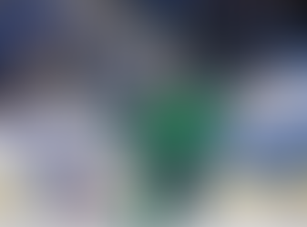 Les Lions partagent les honneurs avec les Mariners