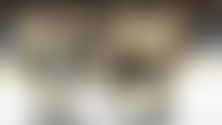 Bruins : 100 ans d'histoire