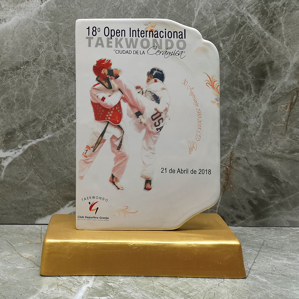 TAEKWONDO 2018