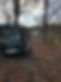 Chicken Barn 2020-11 c thanksgiving.jpg