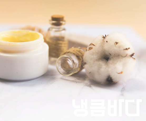 딥티슈