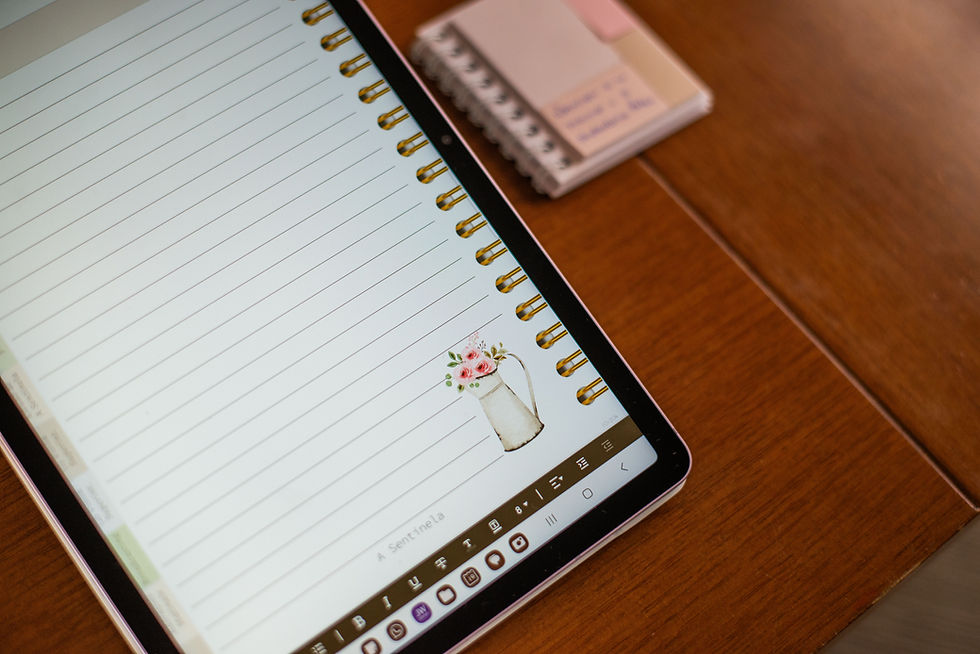 Miniatura: Caderno digital- Anotações de Reuniões