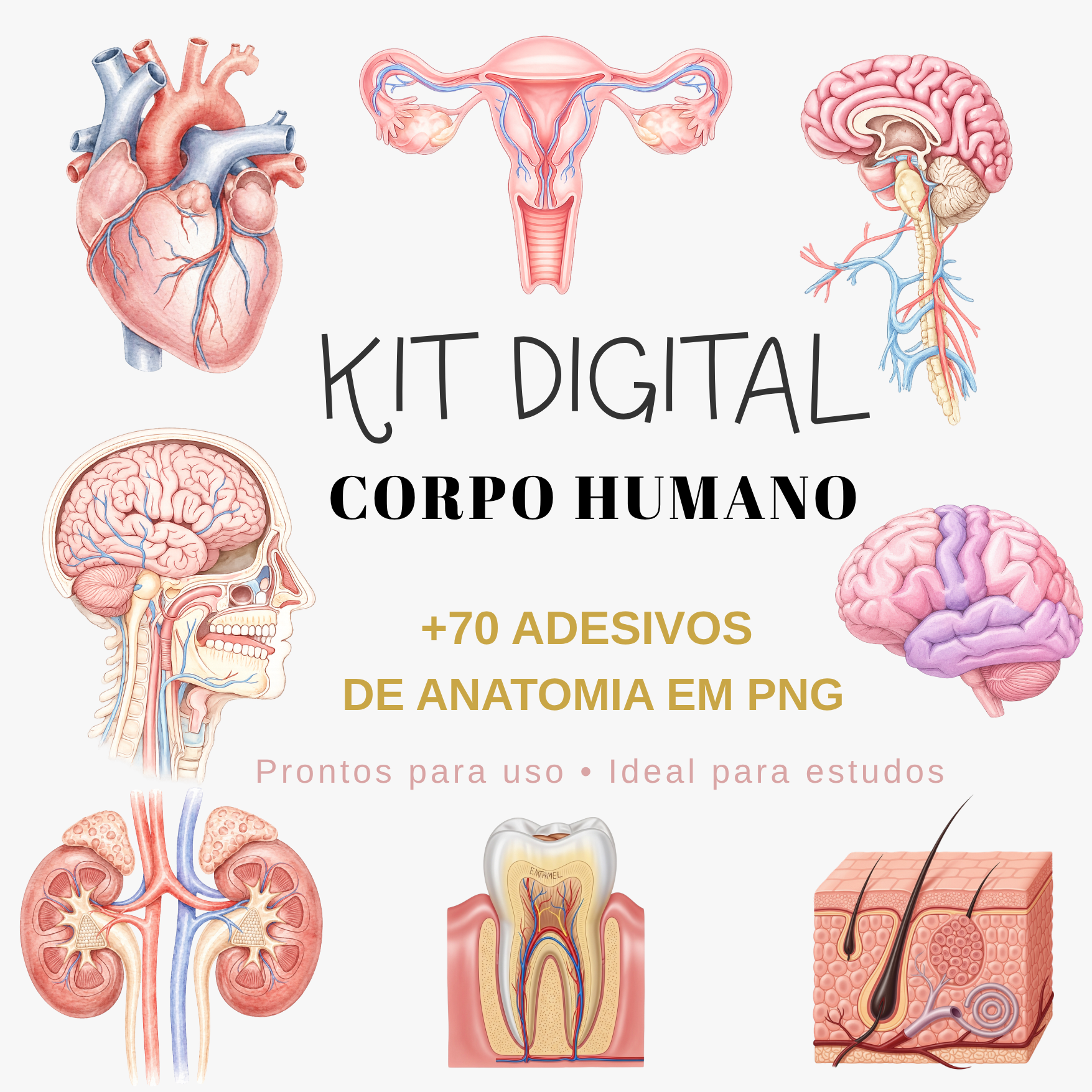 KIT DIGITAL – CORPO HUMANO +70 adesivos PNG