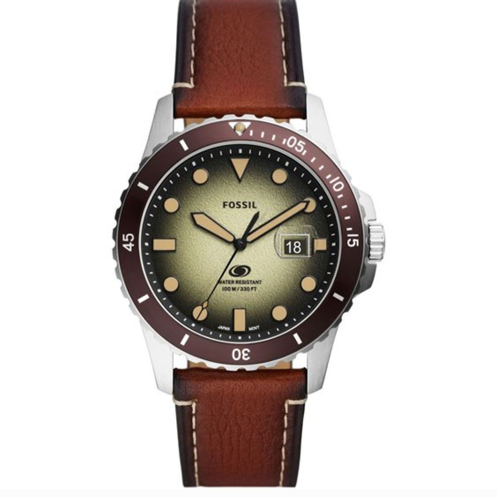 FOSSIL FS5961 UOMO