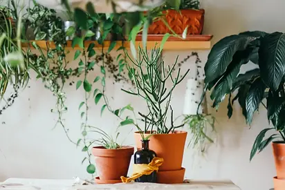 Coworking-Space-for-Wellness-Amenities-min.webp