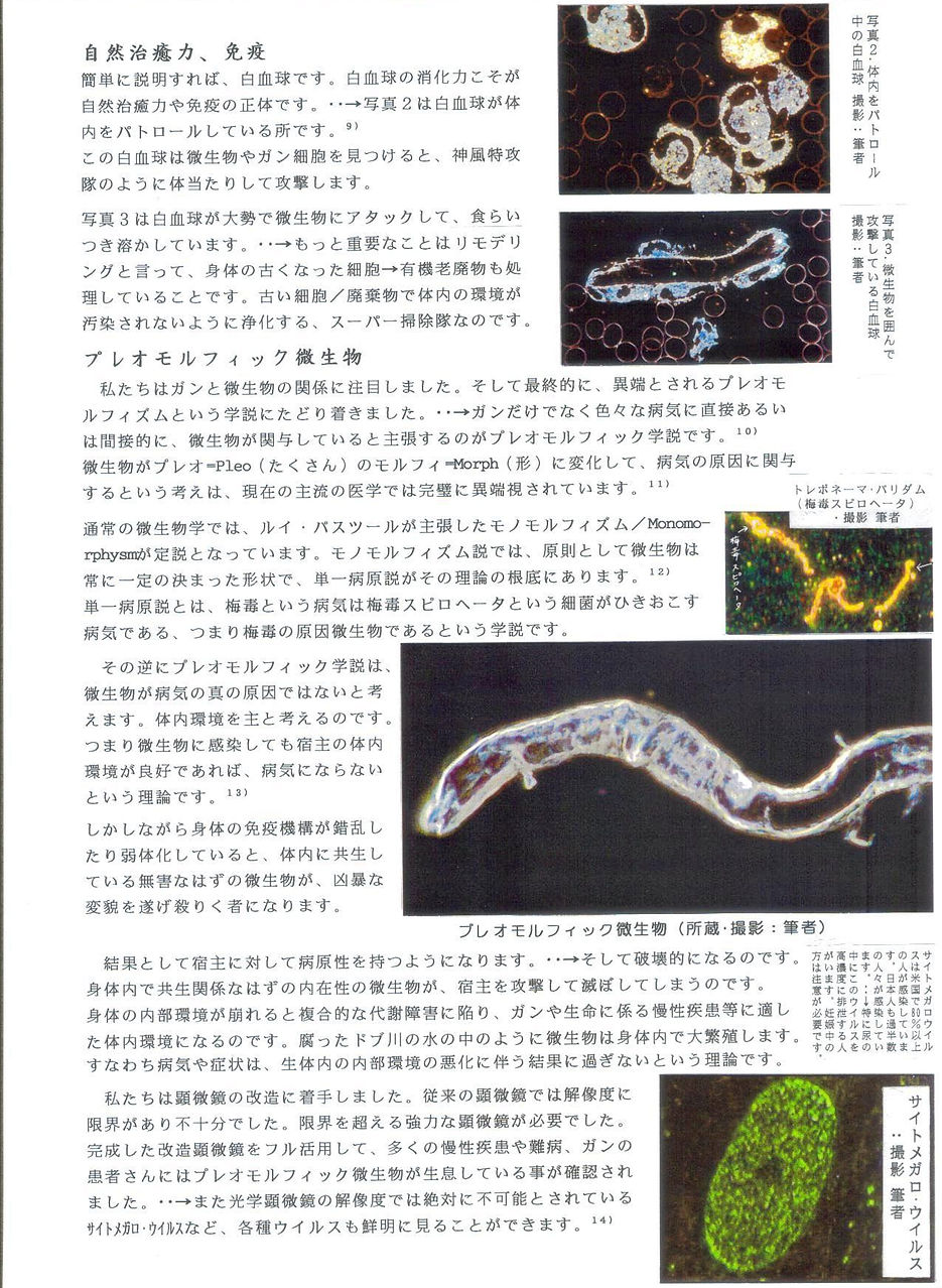 不妊治療 不妊鍼灸｜神楽坂代替医療普及会　ガンと鍼灸　神楽坂代替医療外来センター　メンタルコーチ眞鍋登喜子