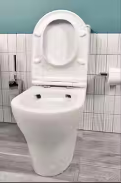 Thumbnail: American Standard Cygnet Hygiene Rimless Overheight Round Cistern BTW Toilet