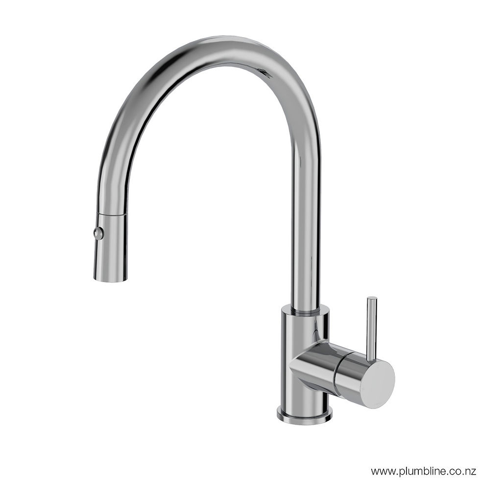 Progetto Buddy Kitchen Mixer Round Spout With Pull Out Spray Chrome