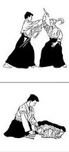 image d'une technique de l'aikido qui s'appelle GOKYO