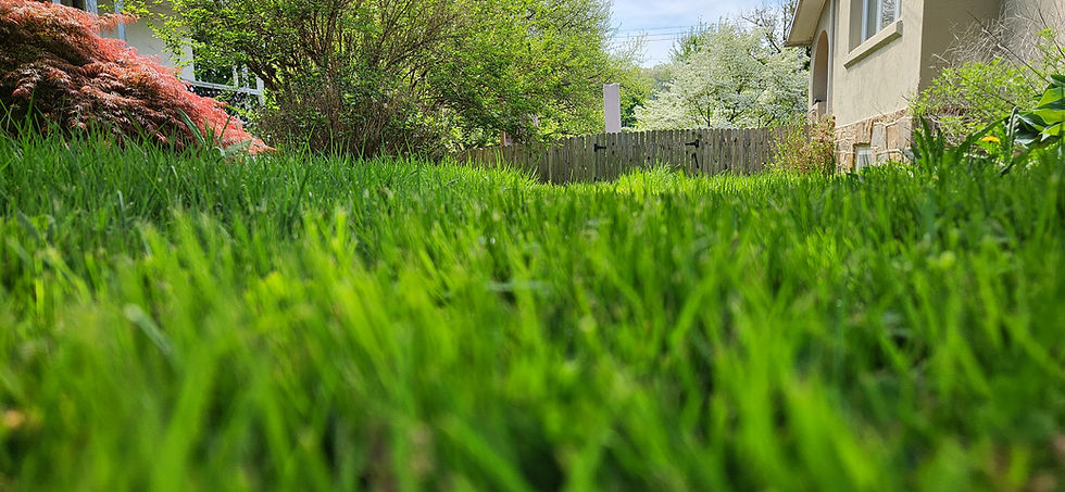 Phase 1 - What's YOUR Zone