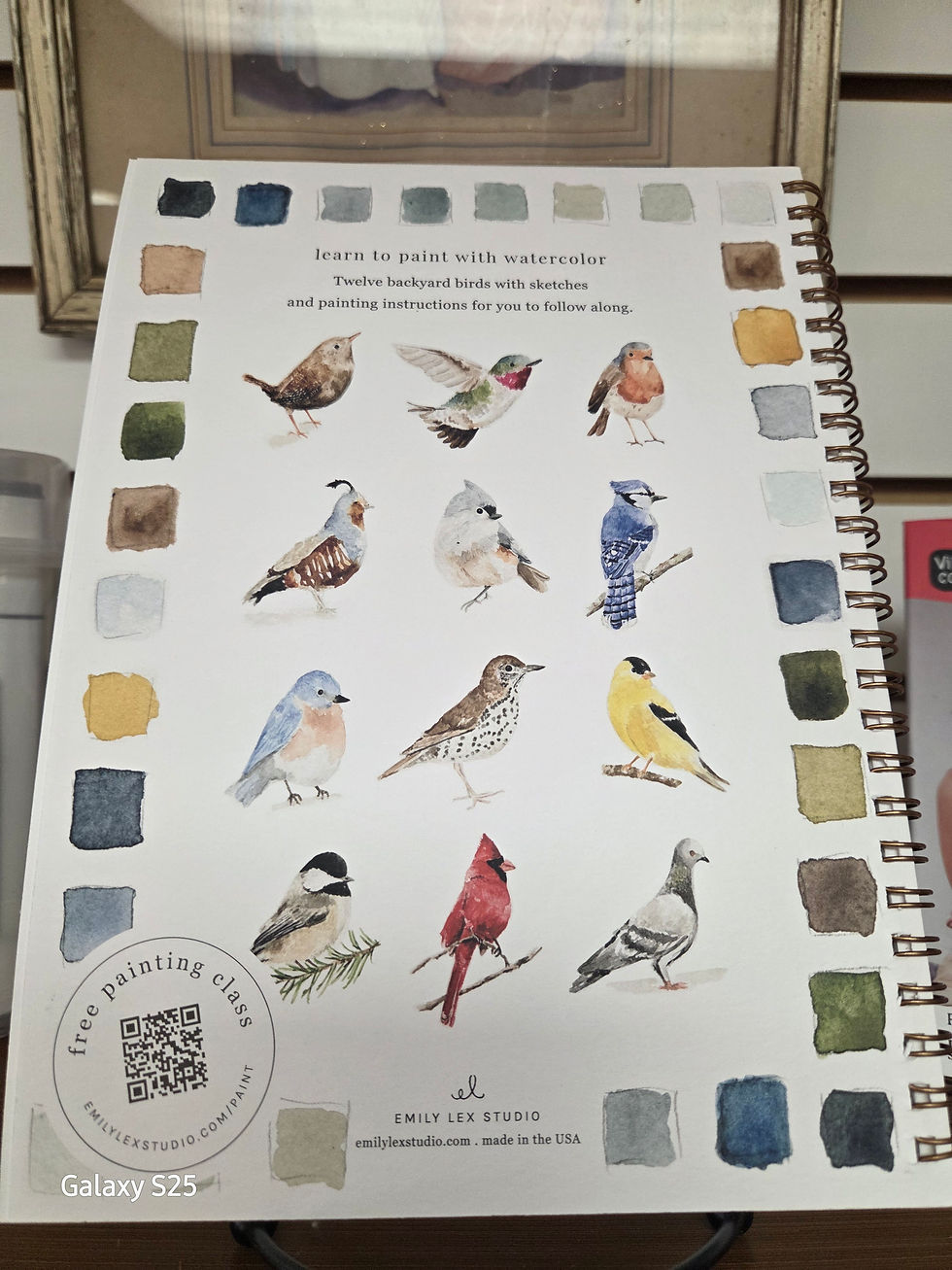 Thumbnail: Emily Lex Studio Watercolor Workbook — Assorted Themes