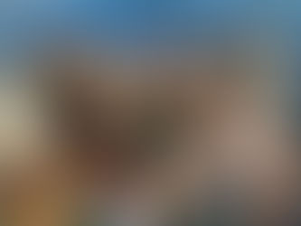 L'école au forum des métiers de la sécurité