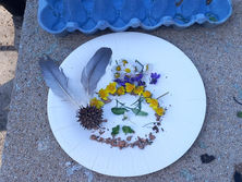 Club nature🌿🌳🪻