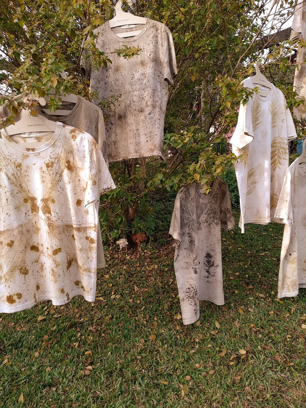 Miniatura: Camiseta Casuarina / tam. GG