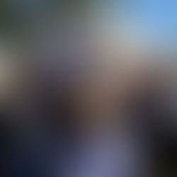 Lo stato sulle elezioni americane