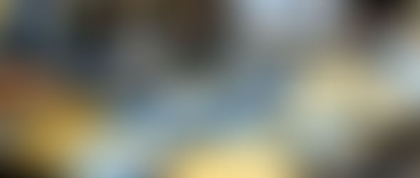 Sull’esito delle elezioni