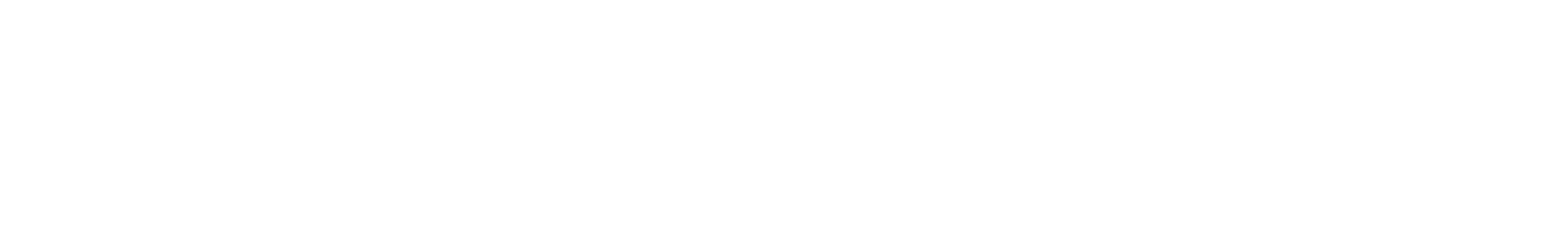 SEADOO_logo2024_XXL_rgb_reverse30x.png