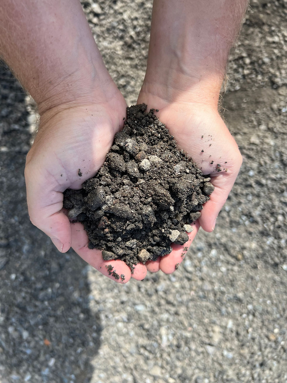 Amerikanskt Väggrus ROAD-TOP B (0-38)