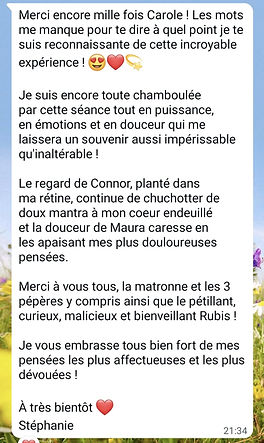 thérapie avec le cheval, équithérapie pau carole barreau