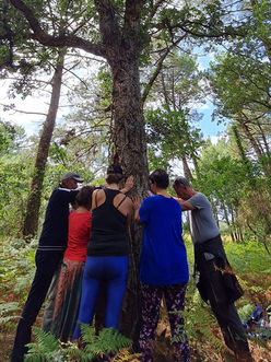 Carole Barreau thérapeute64 équithérapie sylvotherapie