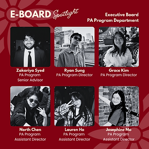 EBOARD - PA Program.png