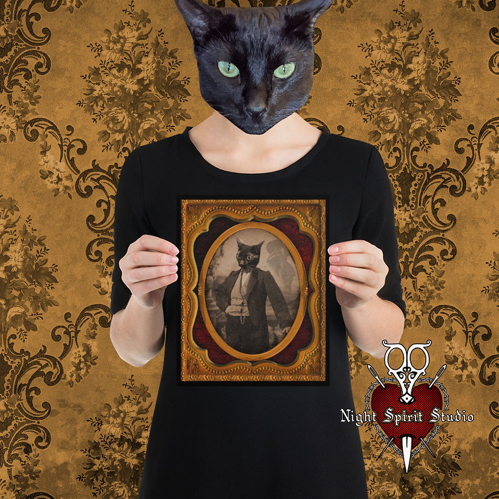 Thumbnail: Ghost Cat Daguerreotype | 8x10 Print