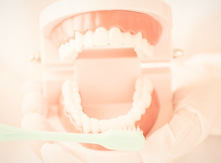 入れ歯の制作調整修理