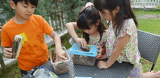 クワガタ飼育する子どもたち