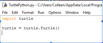 TurtlePython.png