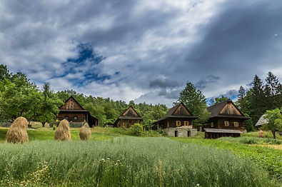 _MG_5083.JPG