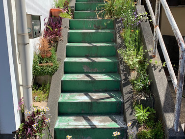植物のお世話楽しいです【スタッフの日常】