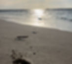IMG_4981_edited.jpg