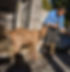 74341960_3062901797058451_8647707550013194240_n.jpeg