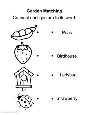 Garden Pea Matching Activity for Dementia 