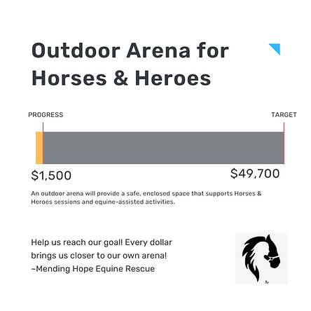 Copy of Minimalist Donation Report Progress Bar Instagram Post (1).png