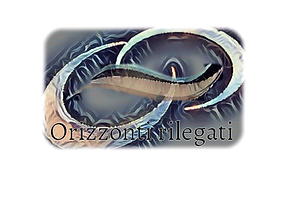 "Orizzonti rilegati" Luciano Pontillo