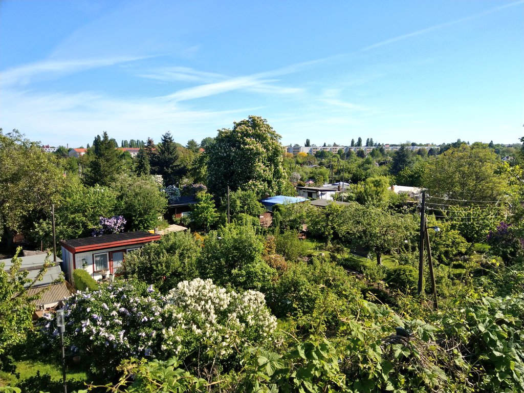 Bornholm Eins e.V. dawaechstwas