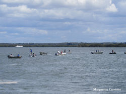 Prawning Season on the Islands