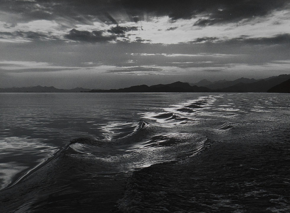 1986
