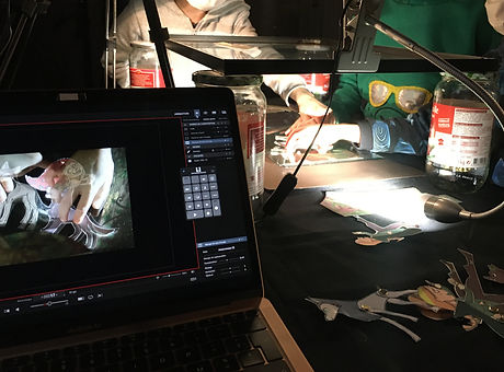 atelier table lumineuse enfants, atelier cinema, stop motion