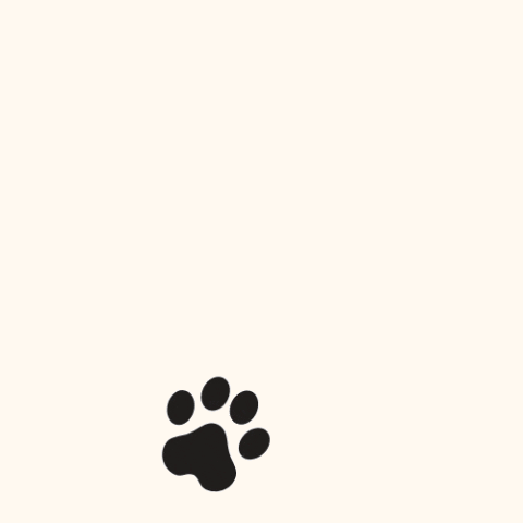 paw print gif