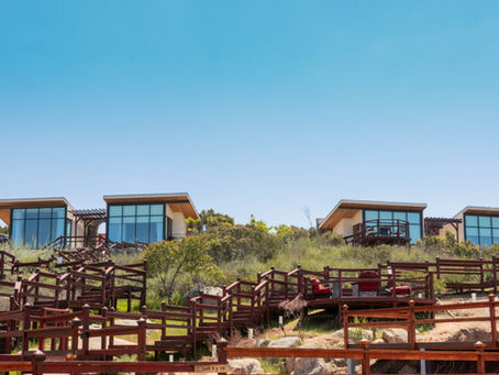 Seis años de experiencia y sustentabilidad: Salvia Blanca y Hotel Contemplación conmemoran con gran kermés mexicana