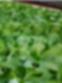 KVCC Still for program.png